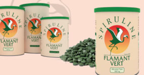 Spiruline Motion Design 3D Swiss – Design et concept